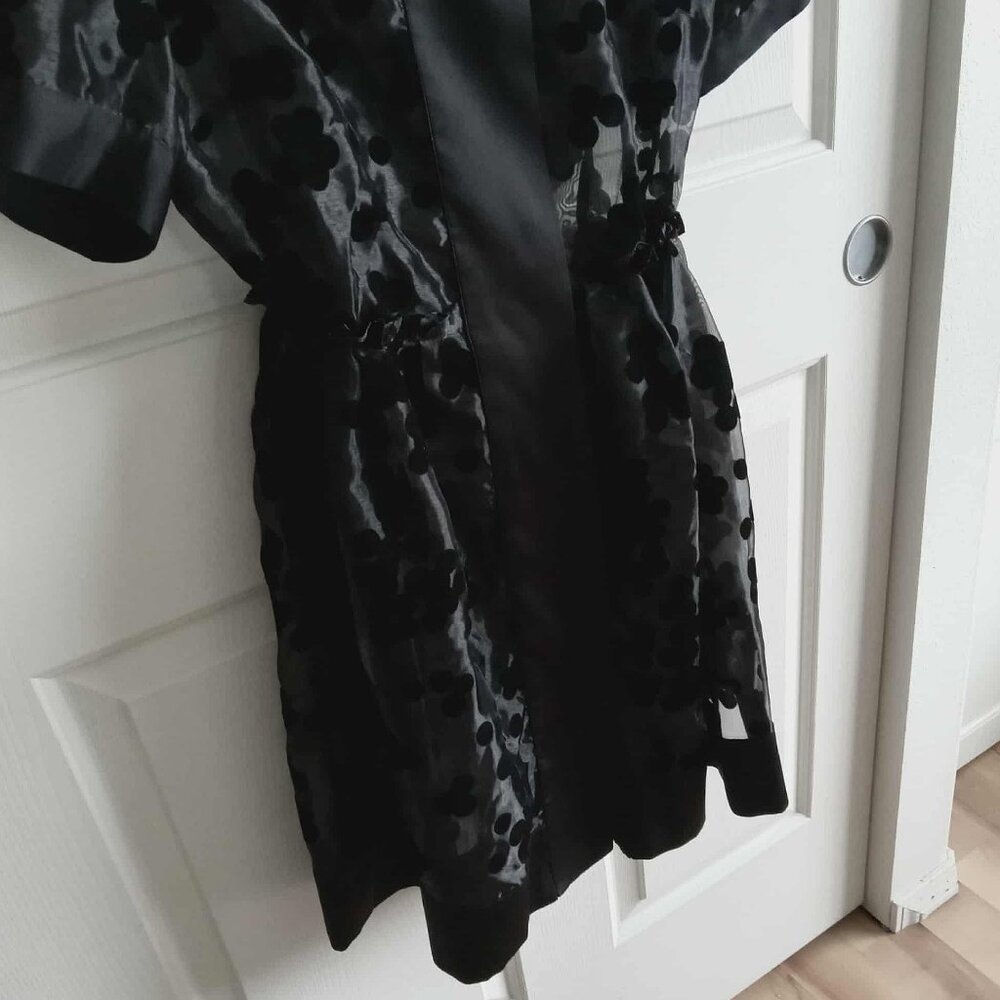 Shirt Collared Sheer Dress with Velvet Blossom Pattern - Picture 6 of 9